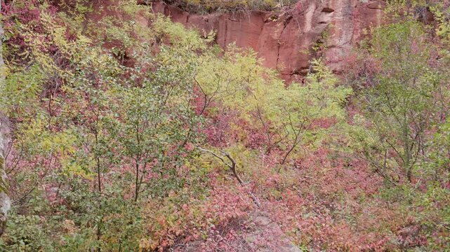 San Antonio Creek Jemez NM Fall Time