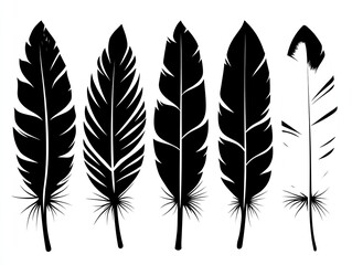 Obraz premium Five black silhouettes of feathers, varying in style. Perfect for design projects needing a nature or tribal theme.