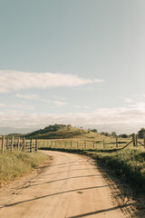dirt road, path to the countryside. Green pastures and sunny day.
