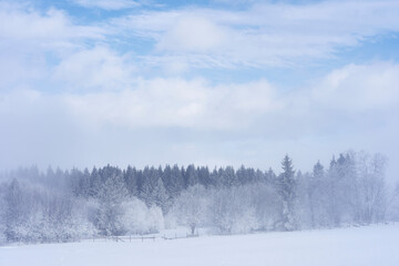 Hoarfrost along Kronborgsetergrenda of rural Toten, Norway, in February 2025.