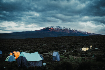 Tents setup in a camp site on a cloudy day at Mount Kilimanjaro in Tanzania Africa
