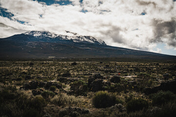 Mount Kilimanjaro surrounded by grassy plains
