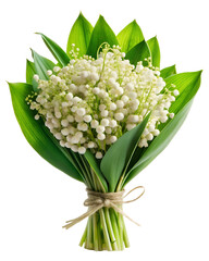 Obraz premium elegant bouquet of lily of the valleys wrapped in craft paper on white