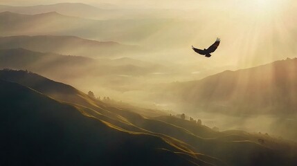 Fototapeta premium A large bird flying over a lush green hillside covered in sunbeams, and another bird soaring above the summit
