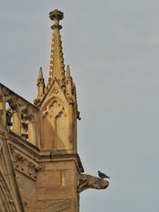 Panoramic view of the Bordeaux cathedral. You can see a part of the cathedral and a dove resting in...