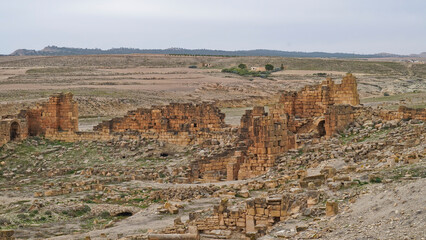 l'area archeologica dell'antico presidio militare romano di Ammaedara nei pressi della cittadina di...