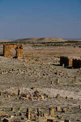 l'area archeologica dell'antico presidio militare romano di Ammaedara nei pressi della cittadina di...