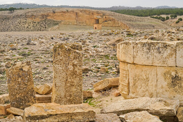 l'area archeologica dell'antico presidio militare romano di Ammaedara nei pressi della cittadina di...