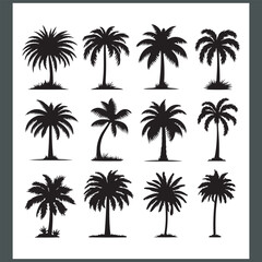 Modern Logotype Featuring Elegant Palm and Coconut Tree Silhouettes