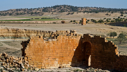 l'area archeologica dell'antico presidio militare romano di Ammaedara nei pressi della cittadina di...