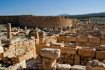 l'area archeologica dell'antico presidio militare romano di Ammaedara nei pressi della cittadina di...