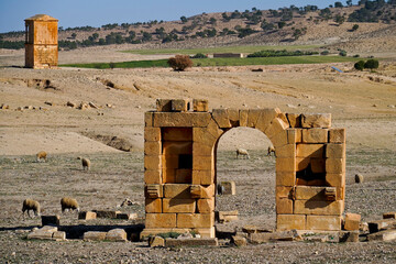 l'area archeologica dell'antico presidio militare romano di Ammaedara nei pressi della cittadina di...
