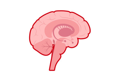 Meningitis medical poster