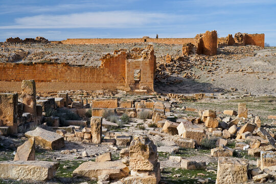 l'area archeologica dell'antico presidio militare romano di Ammaedara nei pressi della cittadina di Haidra,Tunisia