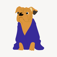 Bulldog puppy in the blue gown isolated, flat design, cartoon