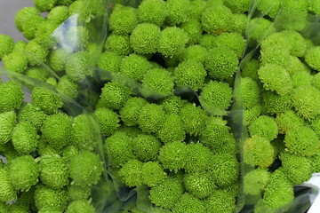 Bouquet of green flowers