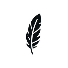 Obraz premium Black feather on white background