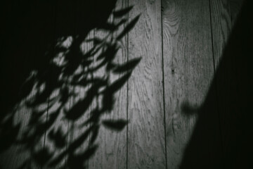 Plant Shadows are against a Wooden Background