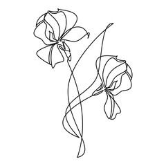 Hand drawn iris flower vector. Linear contour icon. Line continuous drawing. Floral design, botanical print, card, wall art poster, logo, sign, doodle, symbol. Abstract cartoon plant illustration.
