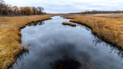 Autumn river reflecting sky, wetland landscape, tranquil scene, nature photography