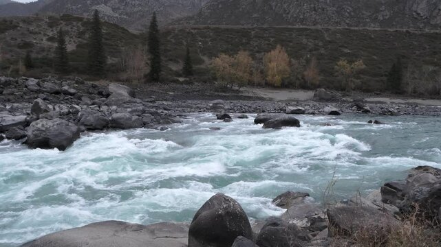 Fast moving stream of seething mountain river runs along stone banks. Amazing highland landscape with autumn bare grey forest at sunrise. Ilgumen threshold, Katun river, Altai