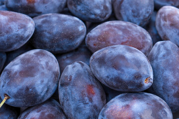 Fresh plums background. Top view. Organic food.