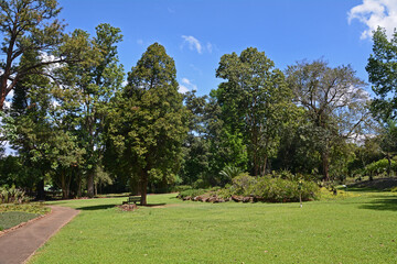 Botanischer Garten in Pietermaritzburg, Südafrika