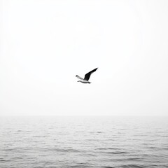 Fototapeta premium Seagull soars above the sea, captured in serene monochrome.
