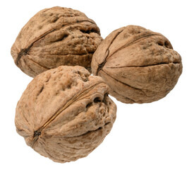 Whole walnut with textured shell close-up