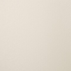 Fototapeta premium High-quality closeup shot of an immaculate ivory-colored painters canvas
