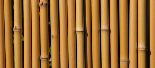 Fototapeta premium Bamboo textured wood surface