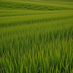 Obraz premium High-resolution image featuring realistic grass textures with seamless repetition