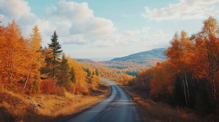 Fototapeta premium A scenic autumn road winding through colorful foliage under a serene sky, perfect for nature lovers and adventure seekers.
