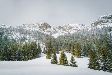 Tatra Mountains, Poland. Panorama of a mountain landscape. Winter in the mountains