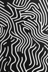 Fototapeta premium A minimalistic black and white abstract illustration with interwoven, curving lines creating an intricate maze like pattern. The high contrast and clean composition make it a timeless and stylish