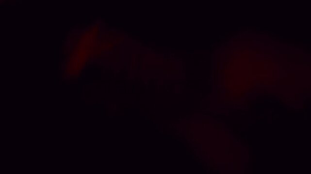 Burn overlay. Blur abstract flare. Colorful defocused shining lens beams sparkling blinking gleaming flickers moving on art dark background.