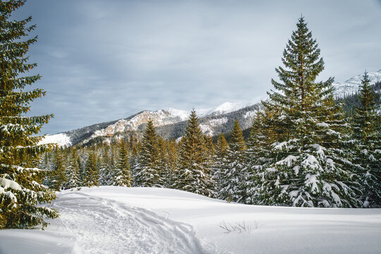 Tatra Mountains, Poland. Panorama of a mountain landscape. Winter in the mountains - Powered by Adobe