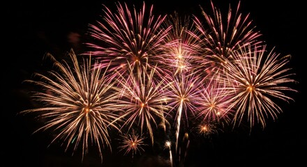 Fireworks Display: A vibrant display of fireworks illuminates the night sky, featuring bursts of color and intricate patterns, capturing the celebratory atmosphere of a special event.