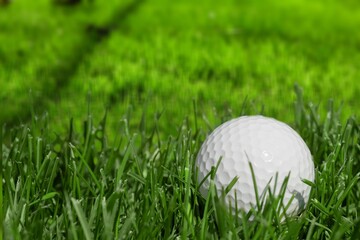 Golf clubs and white balls on green lawn