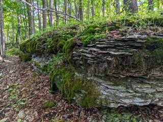 Rock strata in the forest on the Niagara Escarpment. A part of the Bruce Trail in Ontario during summer