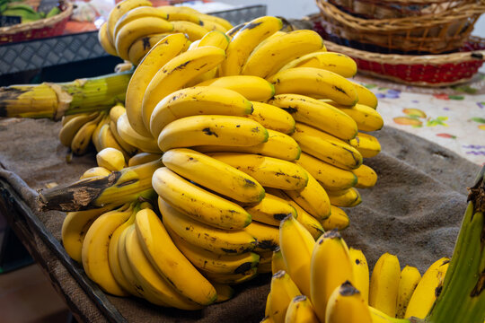 Fresh ripe organic tropical fruits Canarian bananas in bunches on farmers market on Tenerife, Canary islands, Spain, local food and products