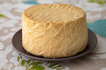 Cheese collection, piece of round fresh smoked Spanish goat cheese close up