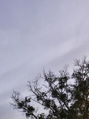 clouds in the sky