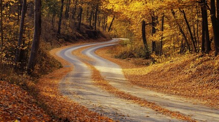 Autumn road