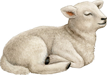 Watercolor realistic cute farm lamb