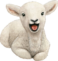 Watercolor realistic cute farm lamb