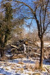 Fototapete bei efototapeten.de bestellen   