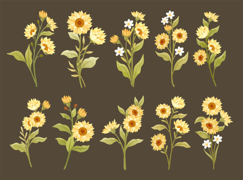 unflower Watercolor Collection