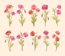 Obraz premium Watercolor Poppy Flower Art