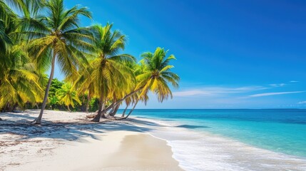 A tropical island beach with vibrant green palm trees, bright white sand, and open blue sky.